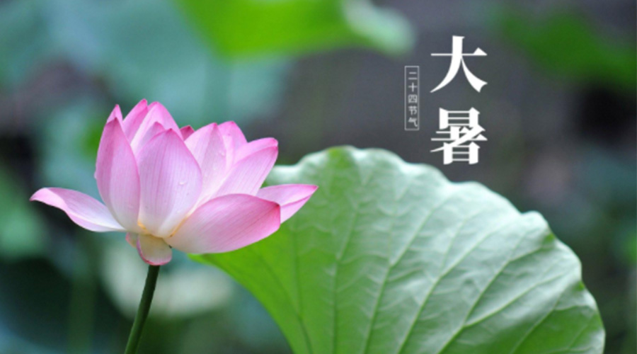 大暑時節(jié)！金環(huán)電器提醒大家注意這些干衣細節(jié)