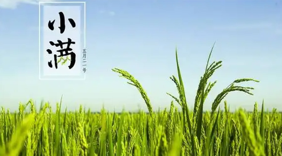 小滿時節(jié)！金環(huán)電器提醒大家要注意的事項