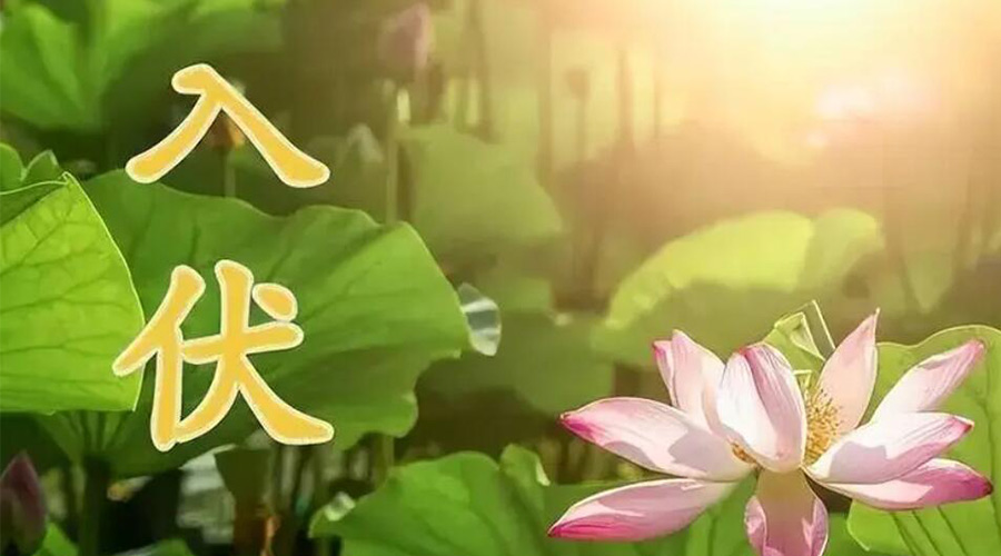 入伏天來襲！金環(huán)電器提醒大家要注意的事項