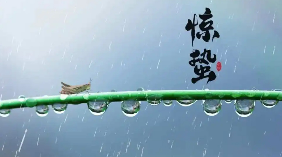 驚蟄時節(jié)！金環(huán)電器提醒大家干衣要注意這些