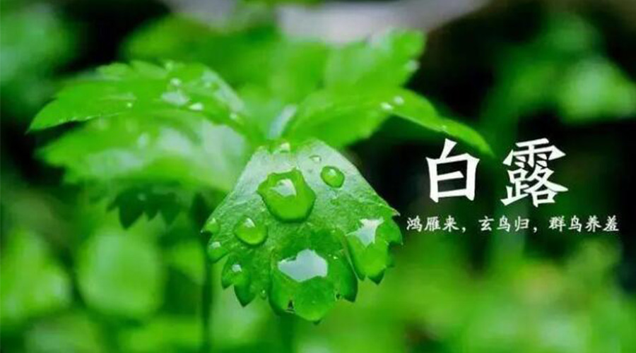 白露時(shí)節(jié)！金環(huán)電器提醒大家要注意的事項(xiàng)