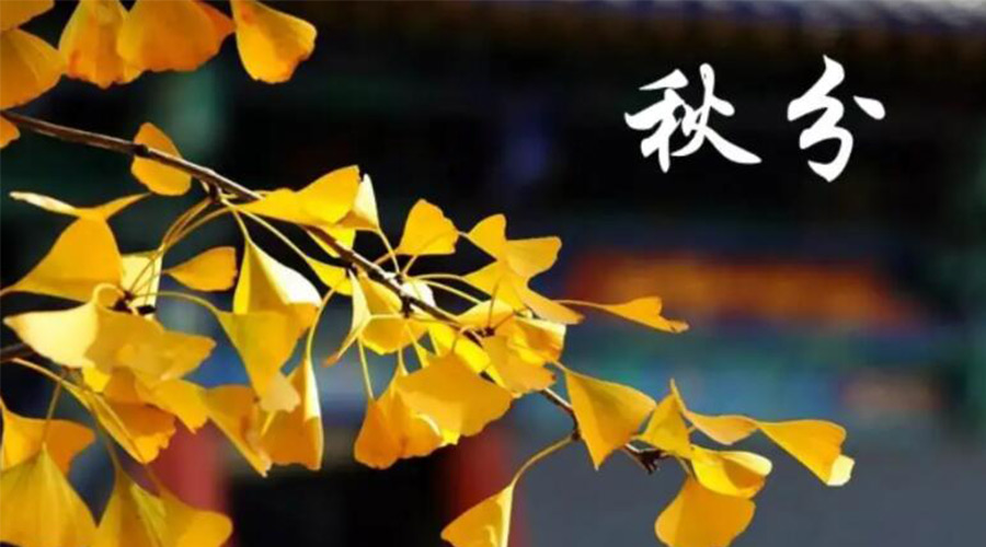 秋分時(shí)節(jié)！金環(huán)電器提醒大家要注意的事項(xiàng)