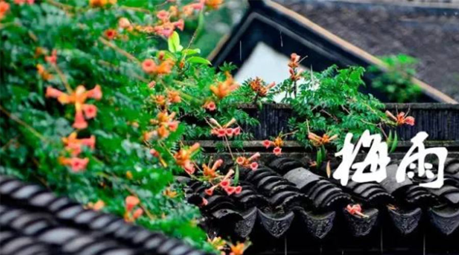 什么是梅雨？梅雨如何形成？  金環(huán)電器告訴你答案